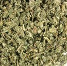 HOREHOUND HERB